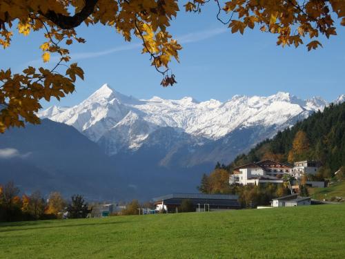 a view of snow covered mountains from a field at Familotel Amiamo in Zell am See