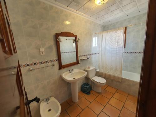 a bathroom with a sink and a toilet and a mirror at Hotel-Restaurante Venta Tomas in Almuradiel