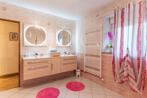 ein Bad mit 2 Waschbecken und einer Dusche in der Unterkunft Le clair-soleil in Briaucourt