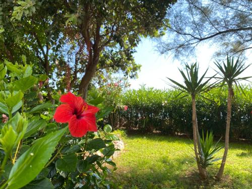 Κήπος έξω από το Seaside Villa with private garden