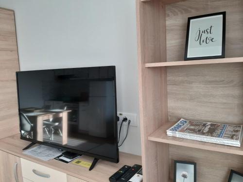 a flat screen tv sitting on top of a wooden shelf at Apartments Manna Palic in Palić