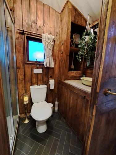 a bathroom with a toilet and a sink at Little Oakhurst in Clitheroe
