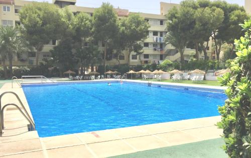 une grande piscine avec des chaises et des parasols dans l'établissement SOL Aguadulce, à Roquetas de Mar