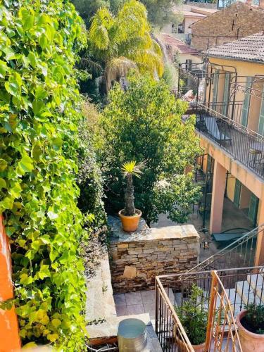 a view of a garden with a plant at Hostellerie du Cigalou in Bormes-les-Mimosas