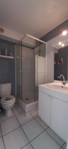 une salle de bain avec une douche, des toilettes et un lavabo dans l'établissement L'Opale, à Berck-sur-Mer
