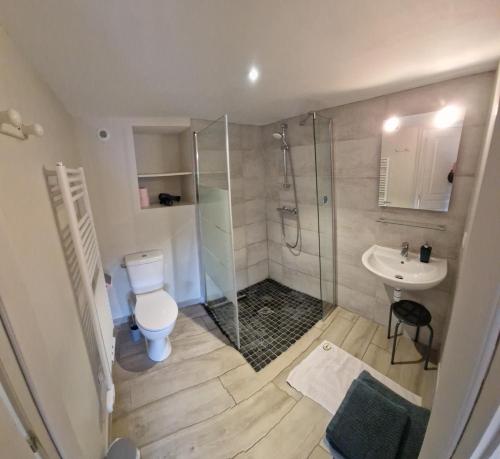 a bathroom with a shower and a toilet and a sink at Gîte de la Noyelle à Sainghin en Mélantois in Sainghin-en-Mélantois