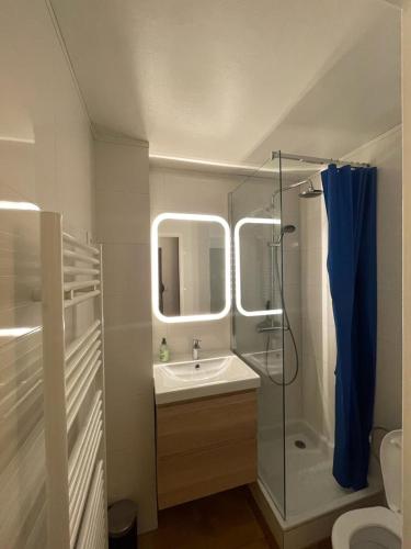 La salle de bains est pourvue d'un lavabo et d'une douche avec un miroir. dans l'établissement Le Lautaret, à La Salle Les Alpes