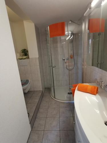 a bathroom with a shower and a tub and a sink at Jurastei 16 in Wiedlisbach