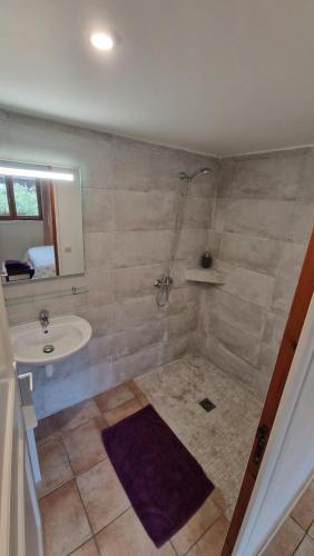 uma casa de banho com um lavatório e um chuveiro em Gîte de la Noyelle à Sainghin en Mélantois em Sainghin-en-Mélantois