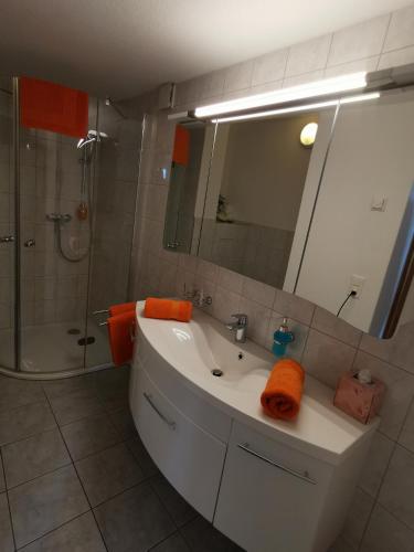 a bathroom with a sink and a shower and a mirror at Jurastei 16 in Wiedlisbach