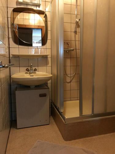 a bathroom with a sink and a shower at Pony-Ziegen-Hasen-Ranch Bichlbach in Bichlbach