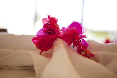 a pink flower sitting on top of a napkin at Refúgios Parajuru in Parajuru