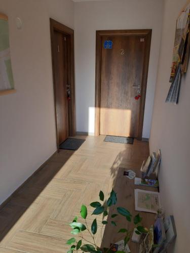 a hallway with a wooden floor with a plant on the floor at Apartments Manna Palic in Palić