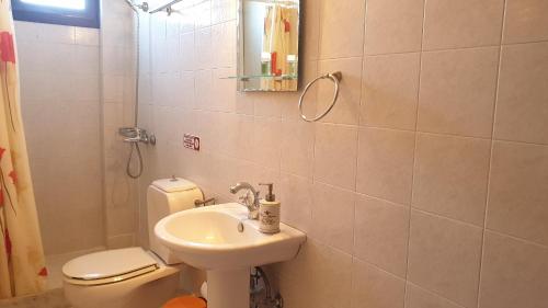 een badkamer met een wastafel, een toilet en een spiegel bij Arhodico Simou mansion in Kambos