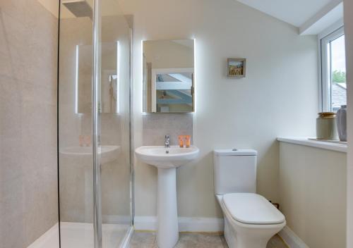 a bathroom with a sink and a toilet and a shower at Cwt Bach in Llanfair Talhaiarn