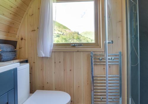 a small bathroom with a toilet and a window at Caban Clyd in Machynlleth