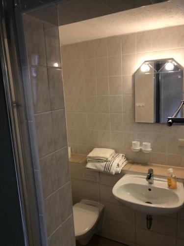 La salle de bains est pourvue d'un lavabo, de toilettes et d'un miroir. dans l'établissement Pension Haus Ruth - Gartenhaus, à Stadt Wehlen