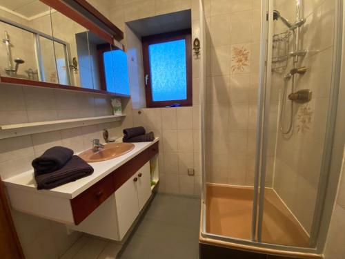 uma casa de banho com um lavatório e um chuveiro em Apartment Feistriz in Rosental 9181 em Feistritz im Rosental
