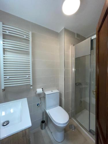 a bathroom with a toilet and a shower and a sink at Puerta del Hierro in Sigüenza