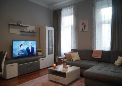 neu-möbliertes Apartment nähe Zentrum