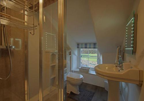 a bathroom with a shower and a toilet and a sink at Penclogwynau in Dolgellau