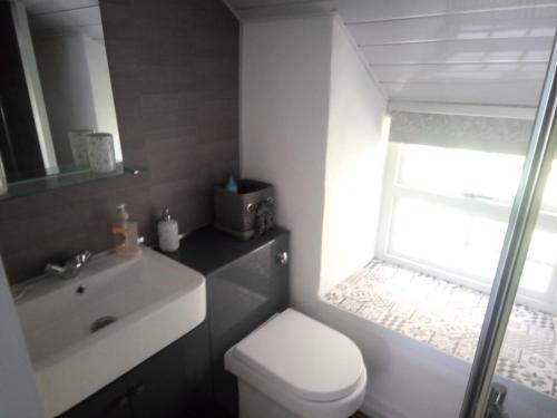 a bathroom with a toilet and a sink and a window at Pandy cymunod in Bryngwran