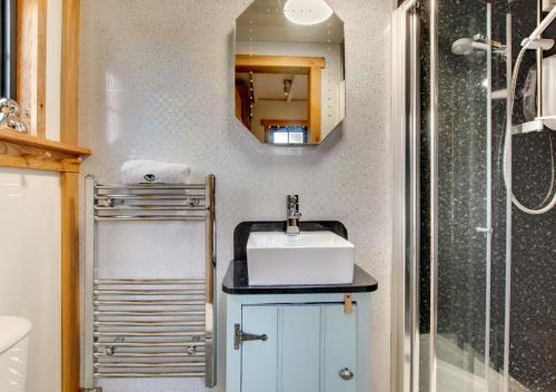 W łazience znajduje się umywalka i lustro. w obiekcie The Mallard w mieście Cray