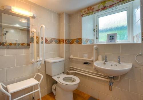 a bathroom with a toilet and a sink at Stabal Pant y Lludw in Machynlleth