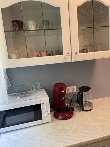 encimera de cocina con microondas y licuadora en Family Apartment en Karlsruhe