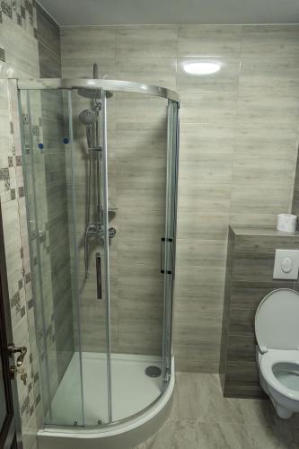 una cabina doccia in un bagno con WC di Perla Dacilor a Grădiştea de Munte