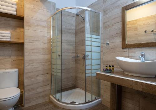 a bathroom with a shower and a toilet and a sink at Vetrinos Apartments in Agios Nikolaos