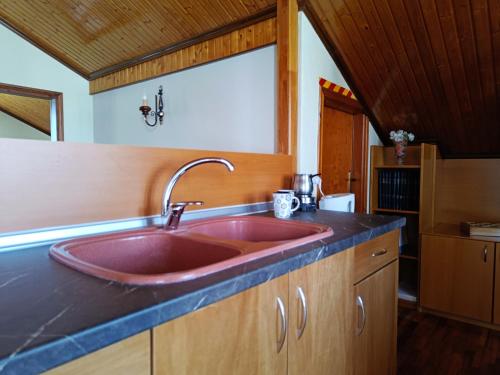 a kitchen with a pink sink on a counter at Wooden Sofita House with Unlimited View in Grevena