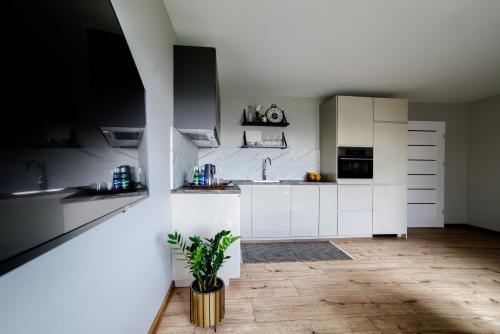 a kitchen with white cabinets and a potted plant at Nowotarżanka in Nowy Targ
