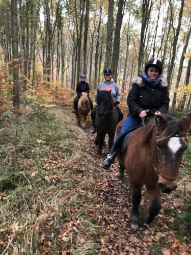 Tres personas montando caballos por un sendero en el bosque en Dyrlundgaard tilbyder charmerende ferielejlighed., en Helsinge