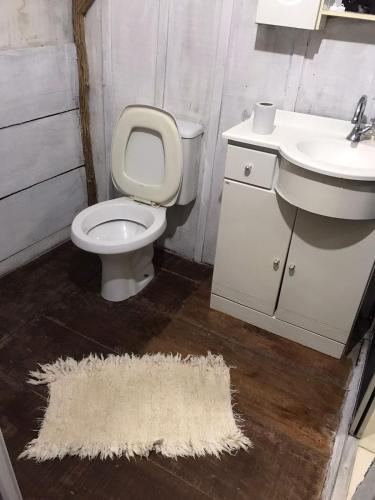 a bathroom with a toilet and a sink and a rug at Sitio Holistico Natureza Sanadora in Morro Reuter