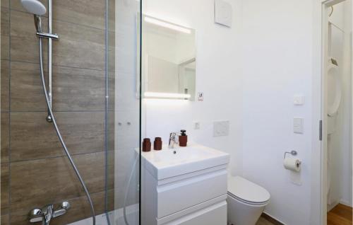 a white bathroom with a sink and a shower at Beach Front Home In Lembruchdümmer See in Lembruch