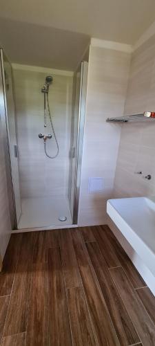 a bathroom with a shower and a tub and a sink at Chalupa Pod Větrným Vrchem in Dolní Morava