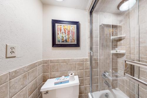 a bathroom with a toilet and a shower at Center Village Hideaway in Frisco