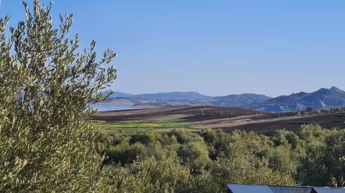 Blick auf ein Feld mit Bäumen und einen See in der Unterkunft Lala Elyacout in Azzaba