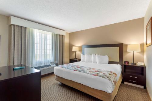 a hotel room with a large bed and a window at Best Western Lawrenceburg Inn in Lawrenceburg