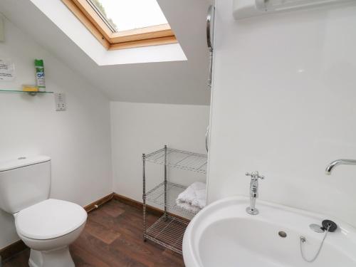 a bathroom with a toilet and a tub and a sink at Tancoed in Aberystwyth