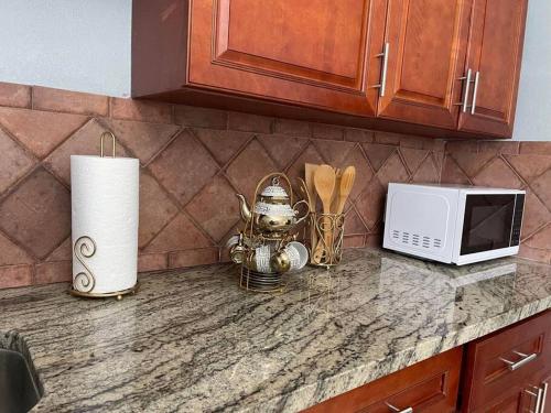 a kitchen counter with a tea kettle and a microwave at The Citrus Guesthouse in Tampa in Tampa