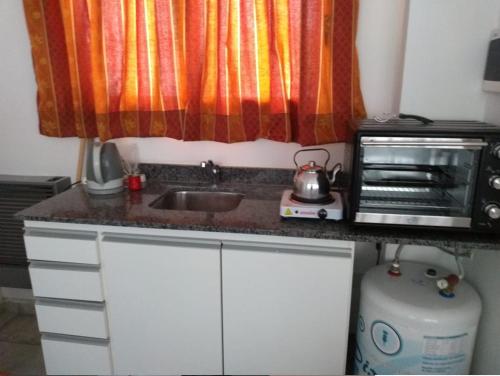 eine Küchentheke mit einer Spüle und einer Mikrowelle in der Unterkunft Alquiler DIARIO hasta 4 personas in Tandil