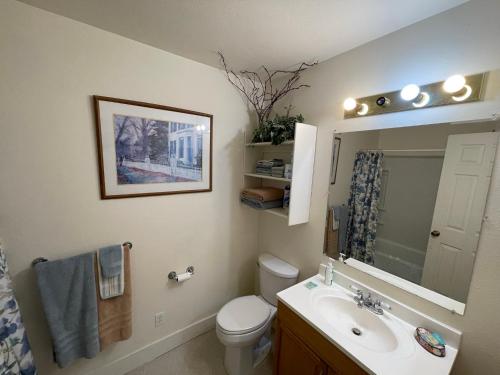 een badkamer met een wastafel, een toilet en een spiegel bij Carriage House - Medina Suite 1 in Pipe Creek