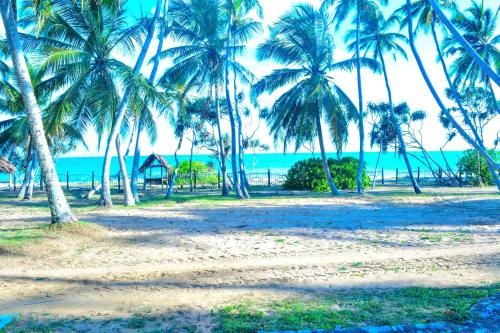 a group of palm trees on a beach with the ocean at Helios Beach Resort in Tangalle