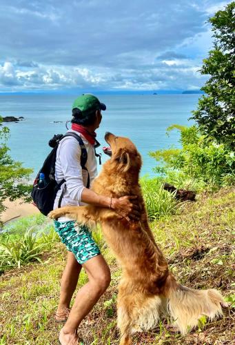 a person with a dog on a beach at Choibana Ecolodge in Bahía Solano