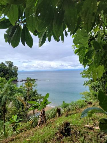 a view of the ocean from a hill at Choibana Ecolodge in Bahía Solano