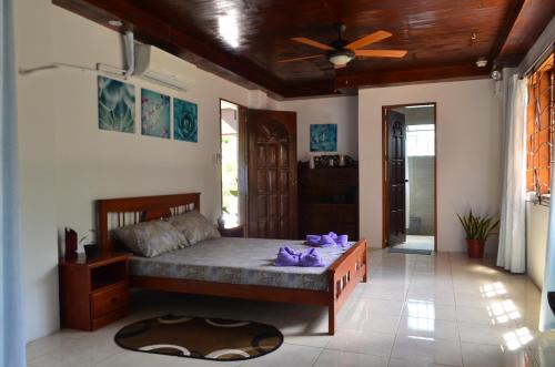 a bedroom with a bed and a ceiling fan at Private beachfront house with ocean view and direct reef access in Moalboal