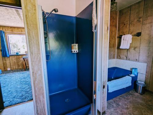 a bathroom with a shower with a blue tub at 4 Elements House:Central, Views-Every Rm, AC, Pets in Mount Shasta