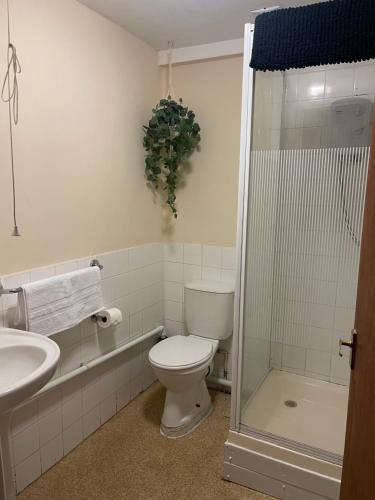 a bathroom with a toilet and a sink and a shower at The Swan Inn in Henwick